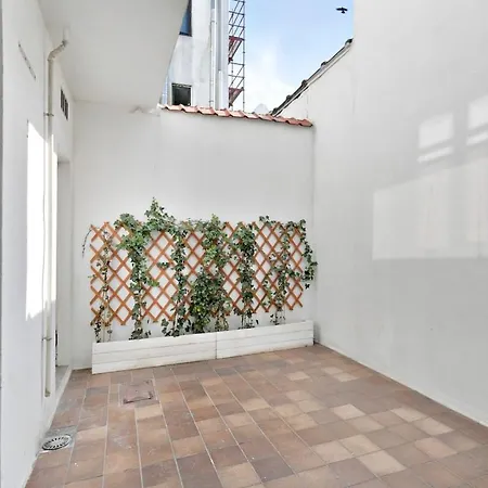 Spacious Terraced House, Center Of *