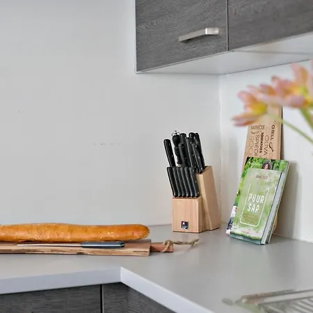 Spacious Terraced House, Center Of Knokke-Heist